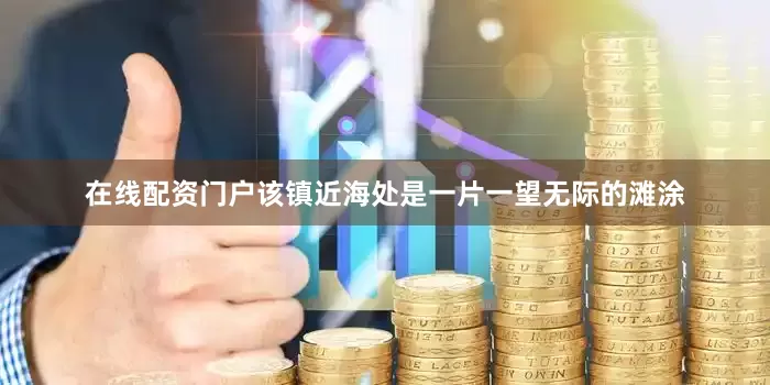 在线配资门户该镇近海处是一片一望无际的滩涂