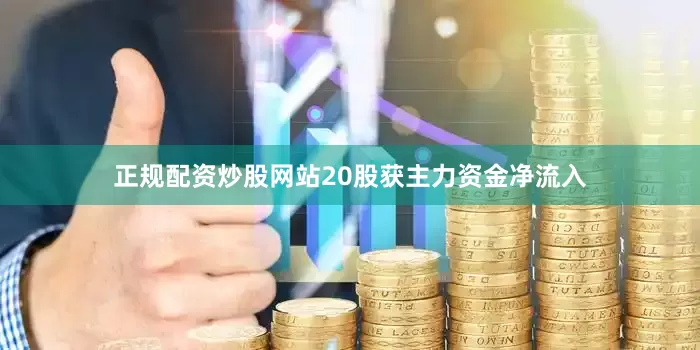 正规配资炒股网站20股获主力资金净流入